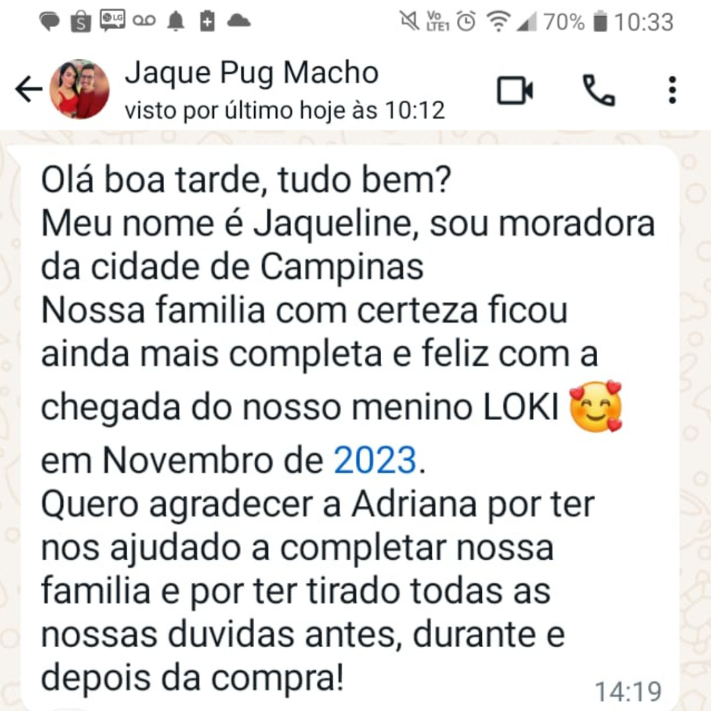 Filhote de pug preto