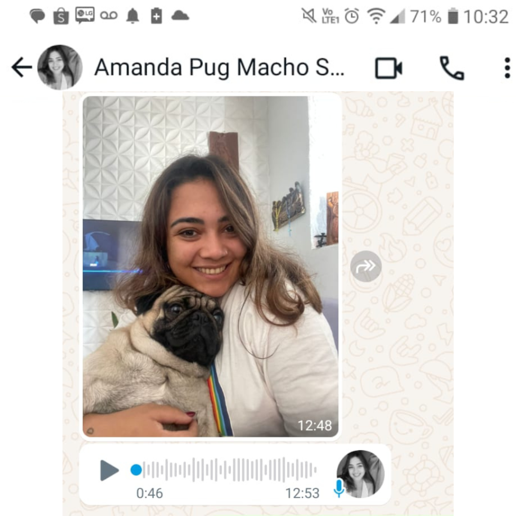 entrega filhote de pug